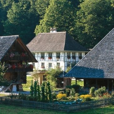ET POUR 2017 Ballenberg!!!!!!